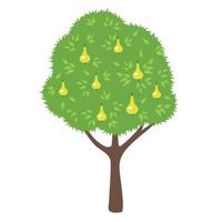 Pear tree. Cartoon style. vector