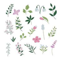 Set of spring handdrawn plants and flowers. vector