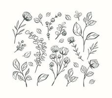 Hand drawn flower collection vector