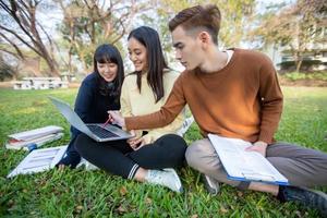 Grupo de estudiantes universitarios asiáticos sentados en la hierba verde trabajando y leyendo juntos al aire libre en un parque foto