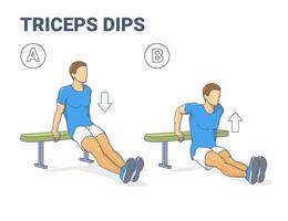 Man Doing Bench Triceps Dips. Workout Exercise Guide. Colorful Concept Guy Working on His Triceps. vector