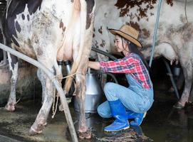 mujeres asiáticas dedicadas a la agricultura y la industria agrícola y el concepto de ganadería - mujeres jóvenes o agricultoras con tablet pc y vacas en establos en granjas lecheras con máquinas de ordeño de vacas foto