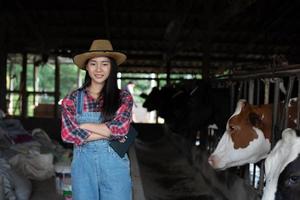 Asian women farming and agriculture industry and animal husbandry concept - young women or farmer with tablet pc computer and cows in cowshed on dairy farm with cow milking machines photo