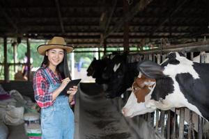Asian women farming and agriculture industry and animal husbandry concept - young women or farmer with tablet pc computer and cows in cowshed on dairy farm with cow milking machines