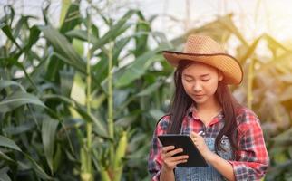 mujeres agrónomas y agricultoras asiáticas que usan tecnología para inspeccionar en el campo de maíz agrícola foto