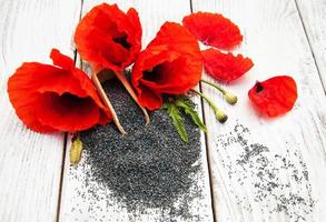 Poppy seeds and flowers photo