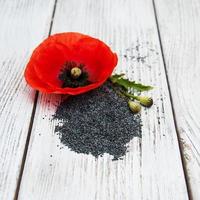 Poppy seeds and flowers photo