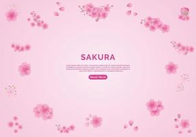 Sakura flowers background. cherry blossom isolated Pink background vector