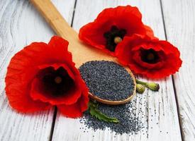 Poppy seeds and flowers photo