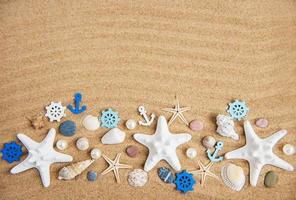 sea shells with sand as background photo