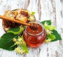 Honey and  linden flowers photo