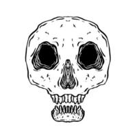 Hand drawn skull cute vector illustation