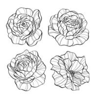 Hand drawn rose flower set vector illustation