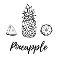 Hand drawn fruits pineapple set vector illustration isolated on white background. Whole, parts, detailed sketch style collection. Fresh and tasty.