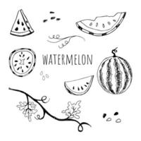 Hand drawn sketch style watermelon set vector illustration isolated on white background. Whole and parts. Farm fresh healthy food fruits. Summer party symbols concept.