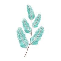 pine branch tree vector