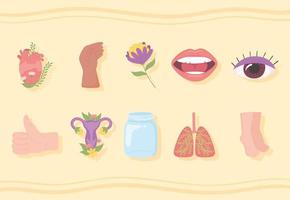 icons human body parts vector