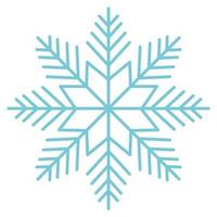 snowflake snow icon vector