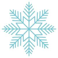 snowflake snow icon vector