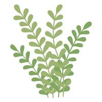 branches foliage icon vector