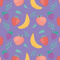 fruits fresh food vector