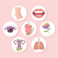 set of human body parts vector