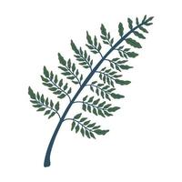 Fern leaf vector illustration. Green leaf forest design element