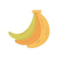 banana fruit tropical vector