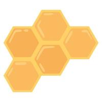 bee honeycomb with honey vector