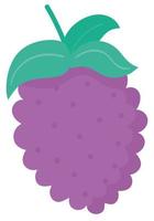 grapes flat icon vector