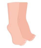 human body part feet vector