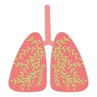 parte del cuerpo humano pulmones vector