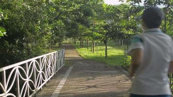 vue arrière d'une femme faisant du jogging sur le sentier du parc. video