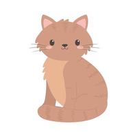 cute little cat vector