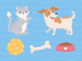 pets cat dog vector