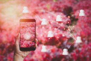 Hand holding smartphone and red oak lettuce on a screen with a white shopping cart icon and network connection on a red background. Smart farmer sell vegetable online concept photo