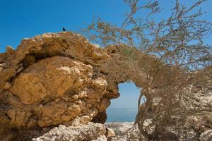 cerca del oasis de ein gedi en el fondo el mar muerto en israel foto