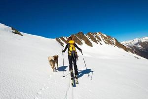 Woman with her faithful dog in the mountains during a ski mountaineering trip photo
