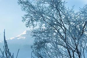 Winter frost in the mountains photo