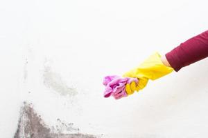 Rag with bleach to remove mold in a corner of the house photo