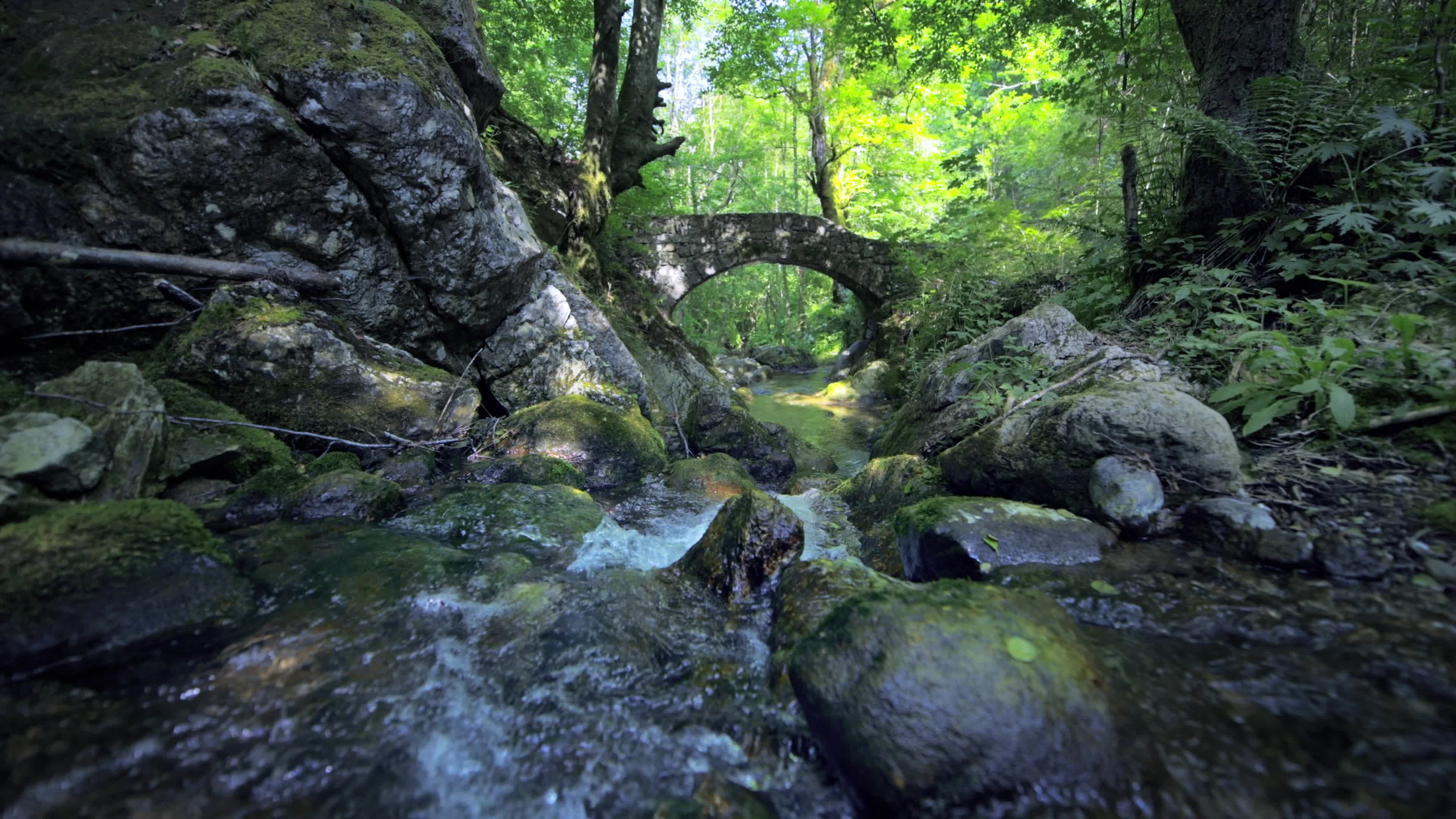 A small valley 5254697 Stock Video at Vecteezy