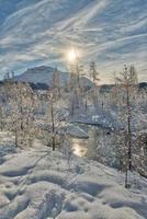 paisaje invernal con árboles cubiertos de nieve foto