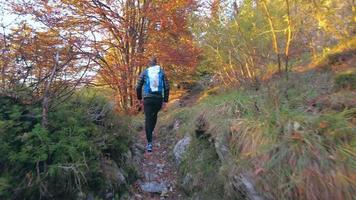 caminando en las montañas por un sendero con colores otoñales video