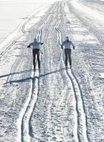 Pair of cross-country skiers photo