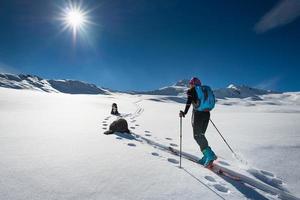 Woman with mountain skiing and two friends dogs photo