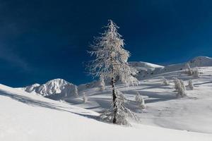 paisaje de invierno en las montañas foto