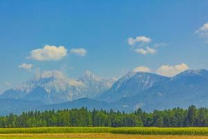 Wonderful mountain and forest landscape with cloudy sky in Slovenia. photo