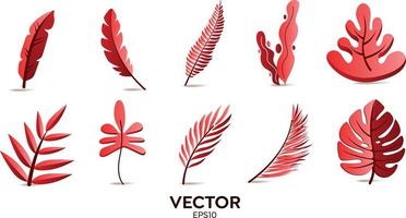 Vector designer elements set collection of red jungle ferns, tropical eucalyptus art natural leaf herbal leaves in vector style. Decorative beauty elegant illustration for design