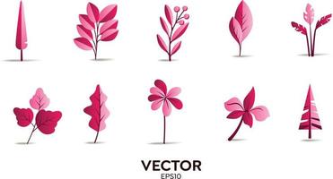 Vector designer elements set collection of pink jungle ferns, tropical eucalyptus art natural leaf herbal leaves in vector style. Decorative beauty elegant illustration for design
