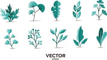 Vector designer elements set collection of Tosca jungle ferns, tropical eucalyptus art natural leaf herbal leaves in vector style. Decorative beauty elegant illustration for design